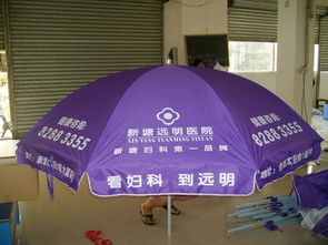 東莞專業(yè)制作廣告?zhèn)?東莞廣告?zhèn)闩l(fā)商 春雷