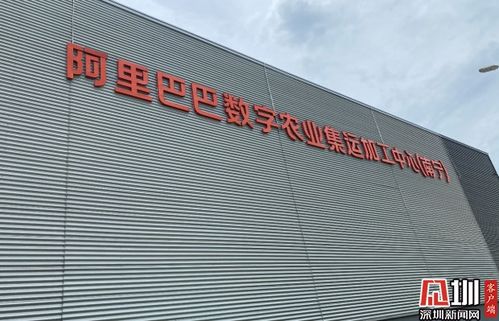 阿里農產品產地倉亮相 水果 做ct ,數字化分選精確到毫米